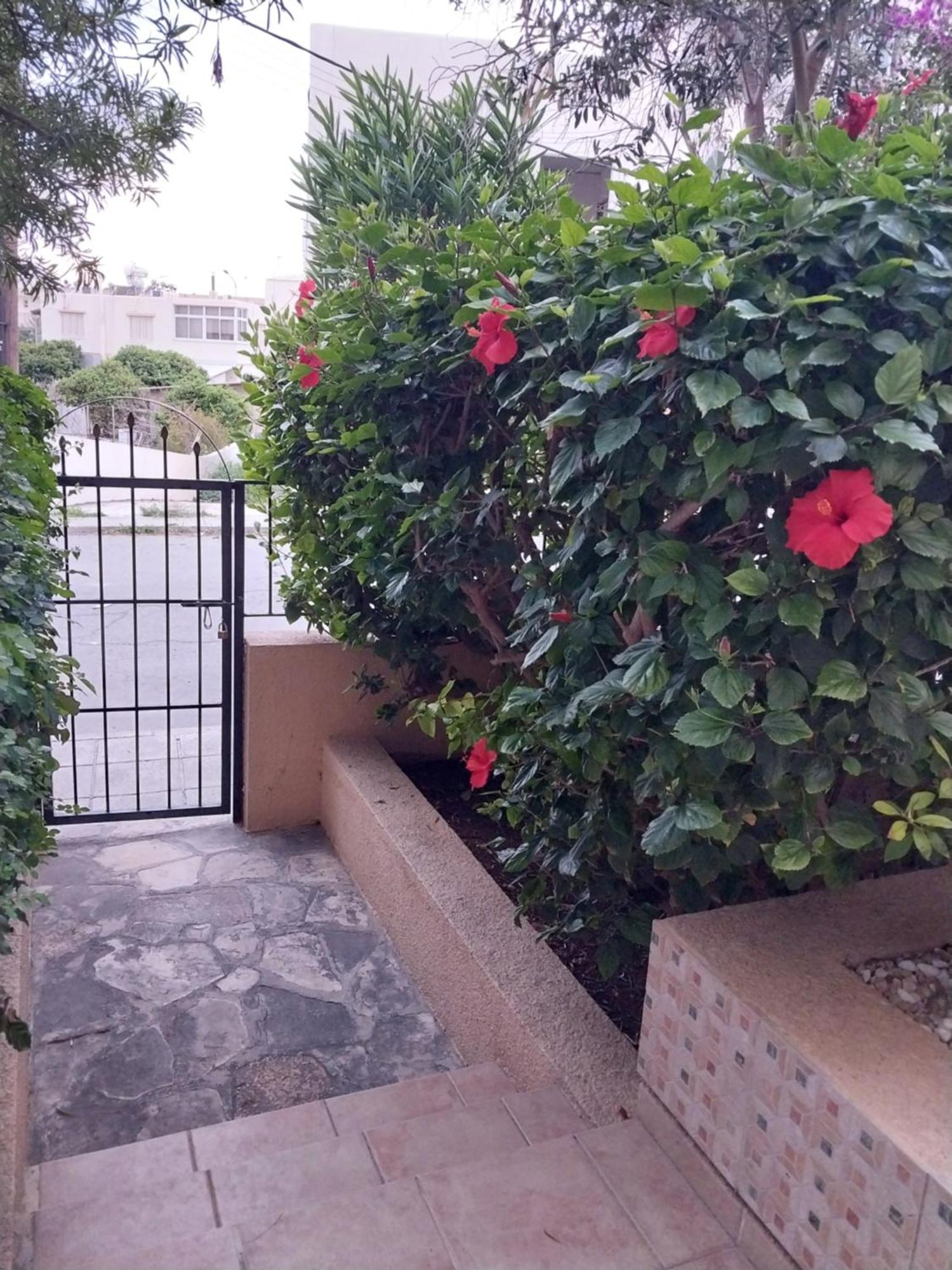 Kings Apartment With Private Garden Paphos Exterior foto