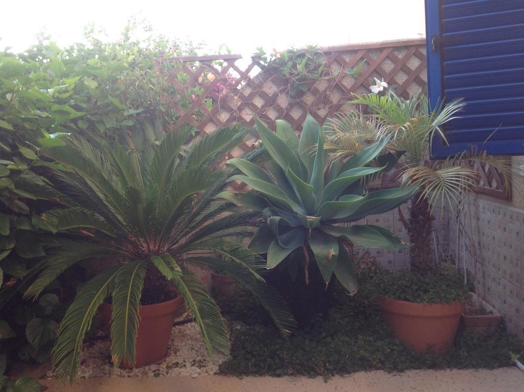 Kings Apartment With Private Garden Paphos Exterior foto
